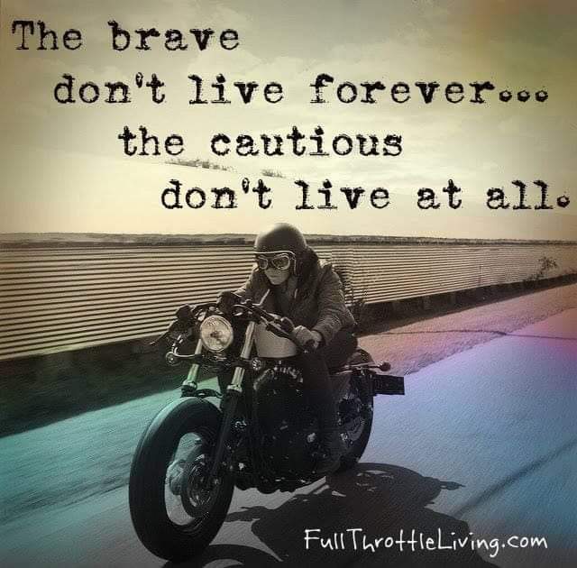 FB_IMG_1672081208007.jpg