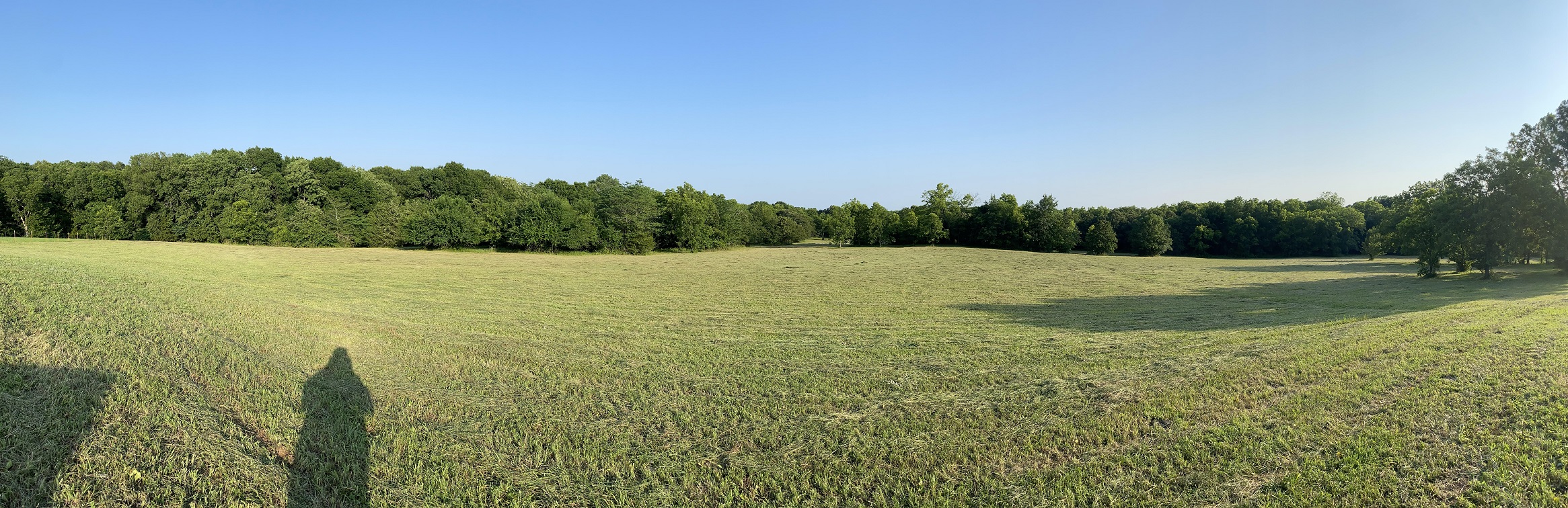 pan shot hay cut comp.jpg