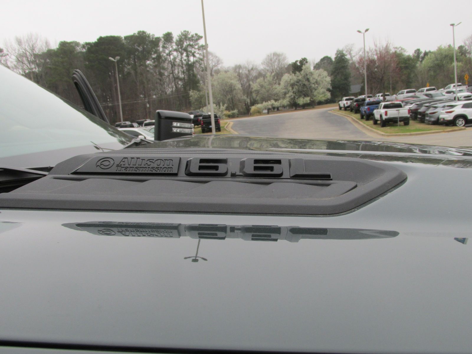 250313 000 looking 001.jpg