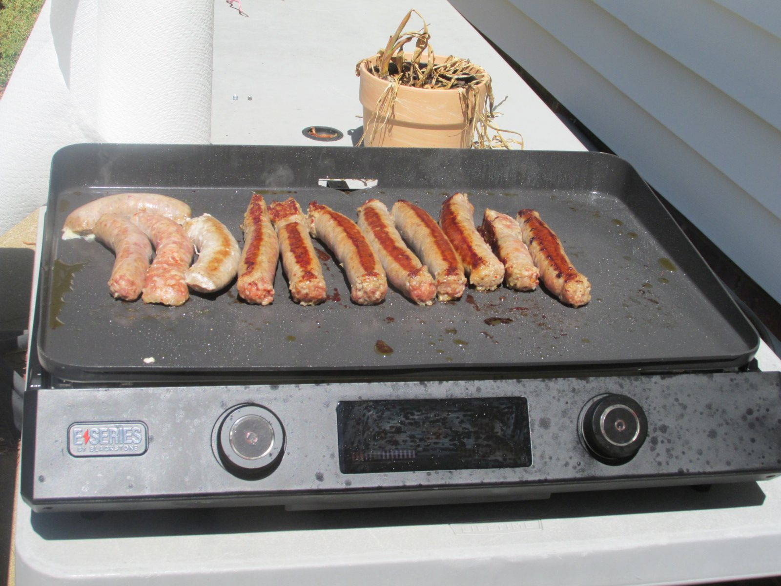250417 003 Lees link sausage 004.jpg