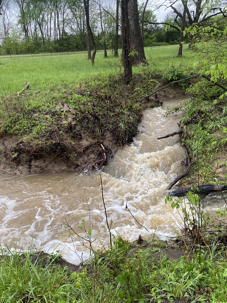 02a orchard creek running.jpg