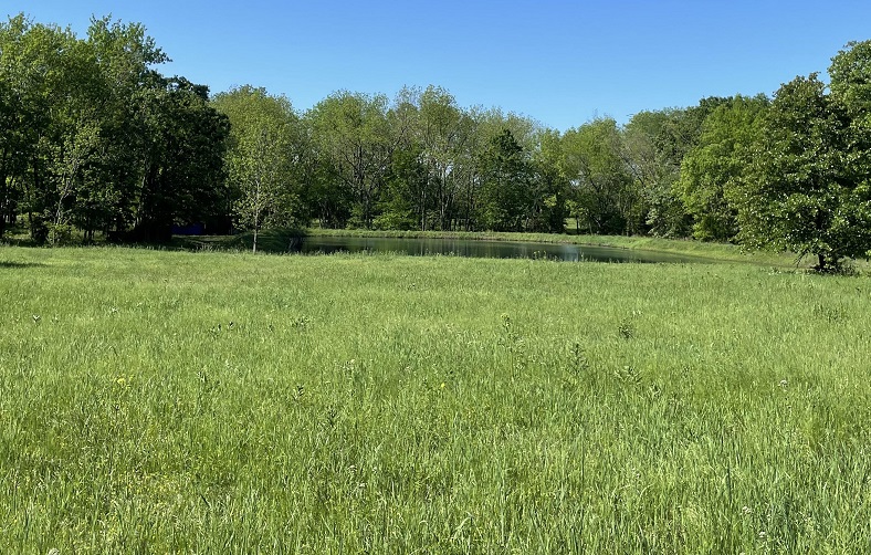 pond is full spring 2025.jpg