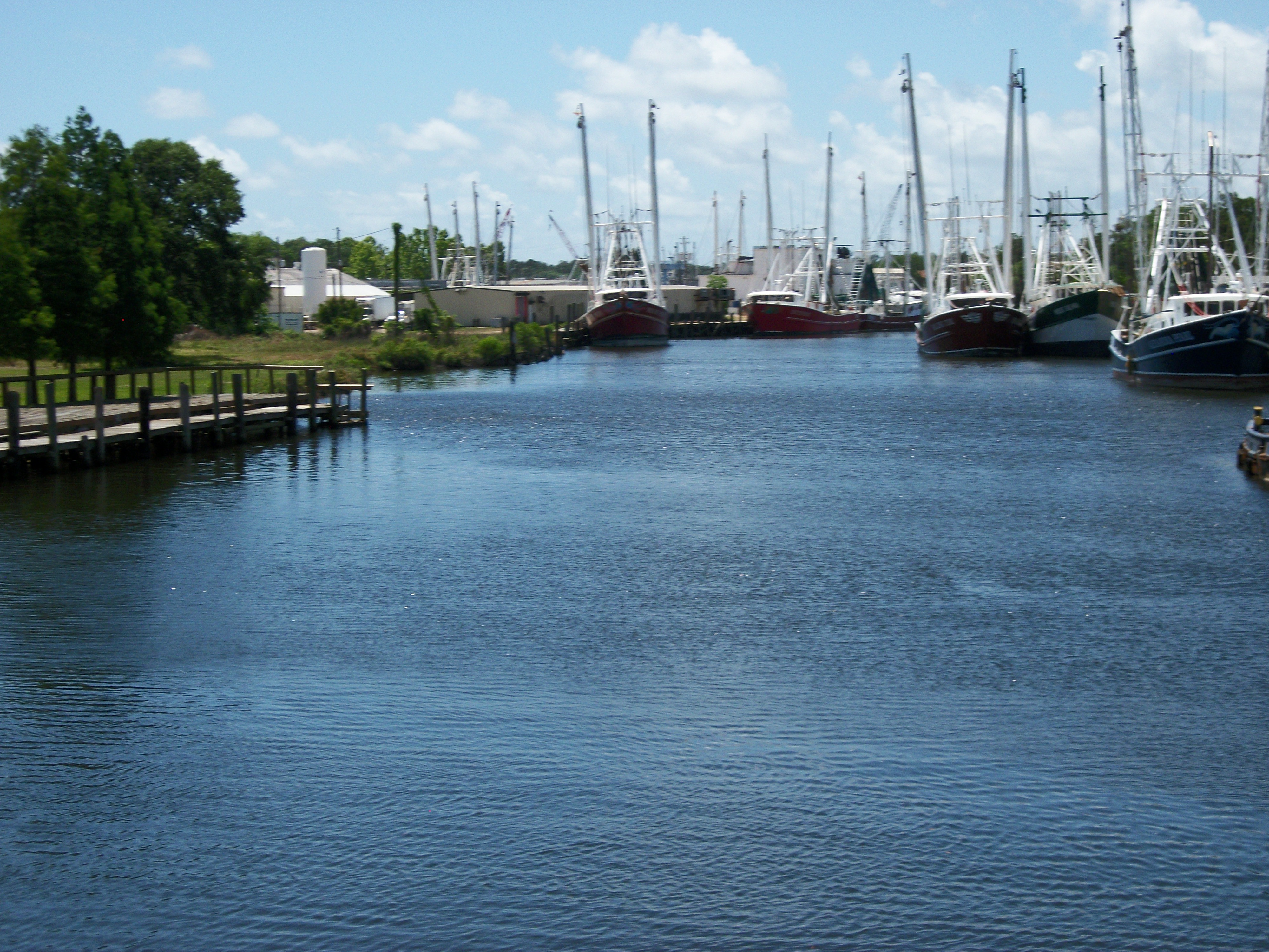 Shrimp boats at Bayou La Batre, Ala.  Remember &quot;Bubba Gump Shrimp Co.&quot;