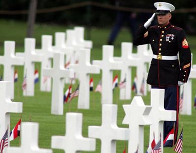Honoring Salute.jpg