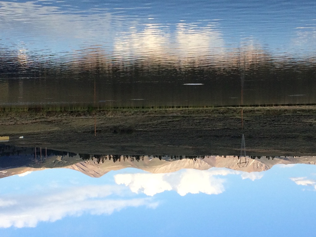 2B555105-9A4A-4BA5-A122-D4638FD9BCF3.jpeg