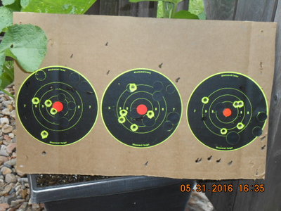 25 yards.JPG