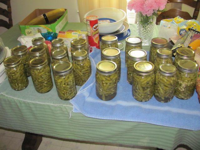 180410 001 new batch 001.jpg