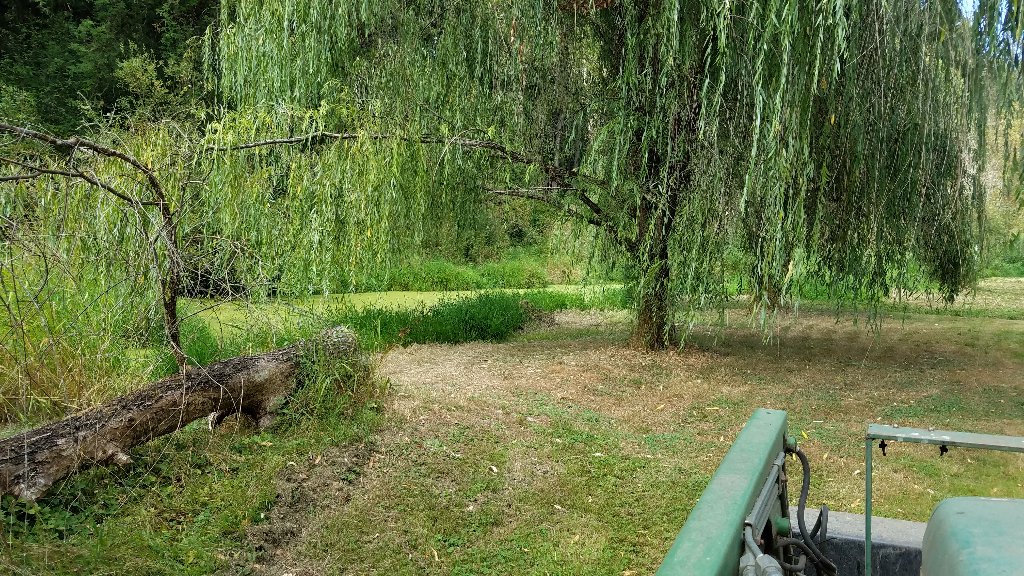 20180823_152923.jpg