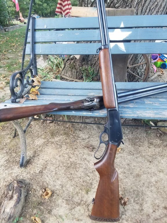 2a.jpg