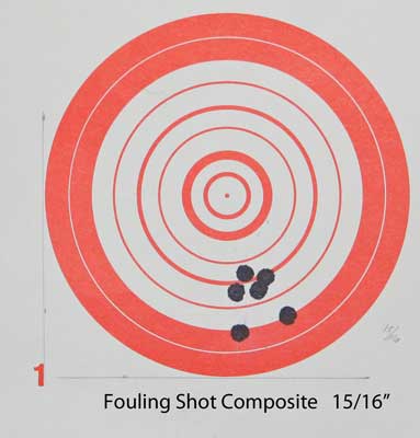 Fouling-shot-Comp..jpg