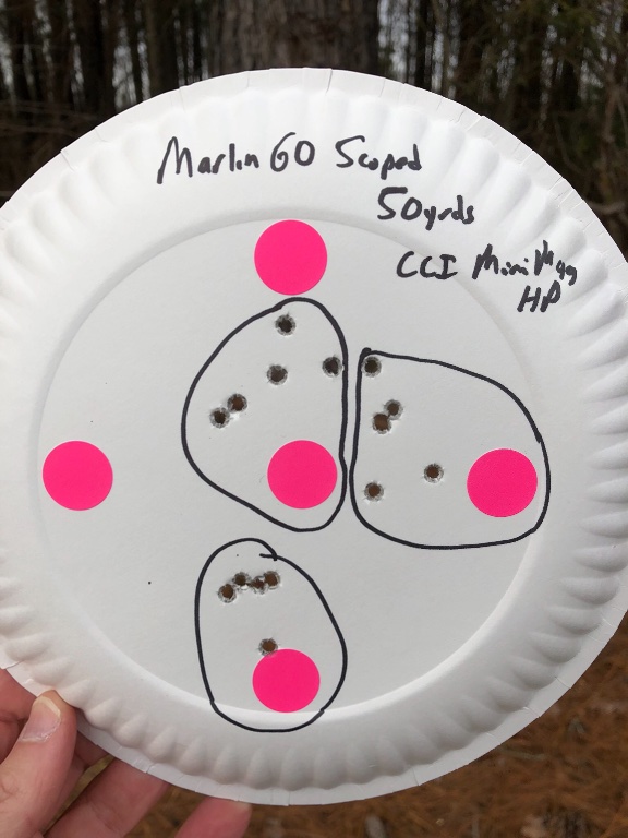 Marlin 60 at 50 yards. Scope was zeroed at 25 yards using CCI Mini Mag 36gr HP.