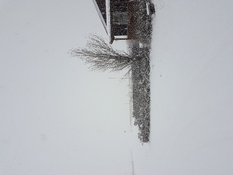 20181230_102555.jpg