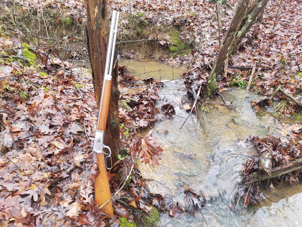 20181231_094631.jpg