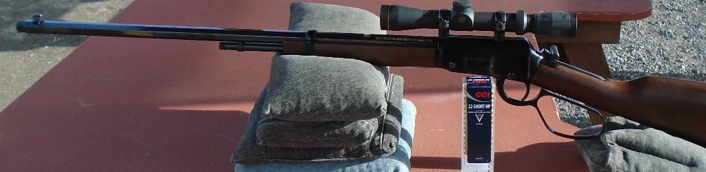 22Hen.JPG