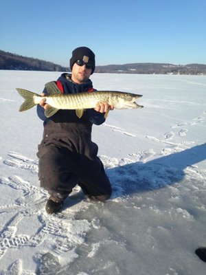 Finger lakes tiger musky