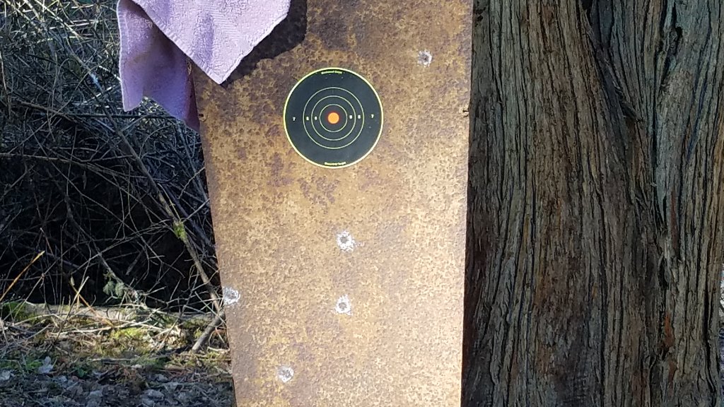 20190301_122253.jpg