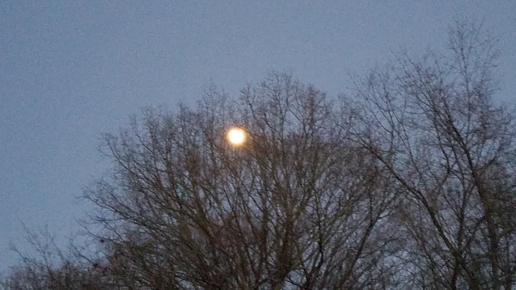 20190319_192841.jpg