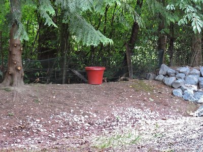 DSCN4809.JPG