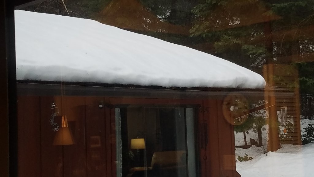 20190325_085740.jpg