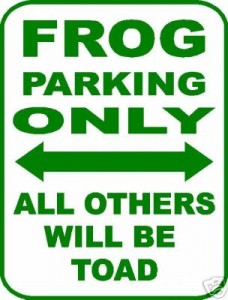 frog parking.jpg
