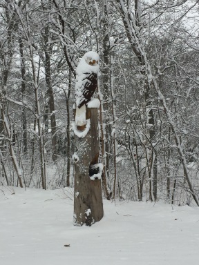 Eagle Tree Winter Storm.jpg
