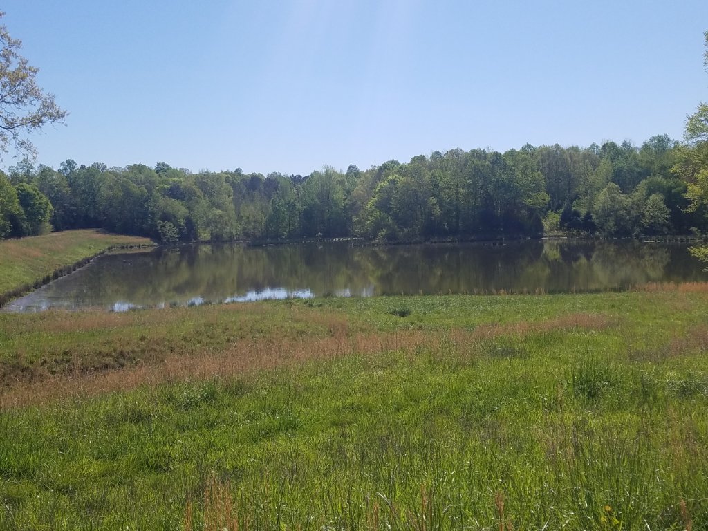20190421_094112.jpg