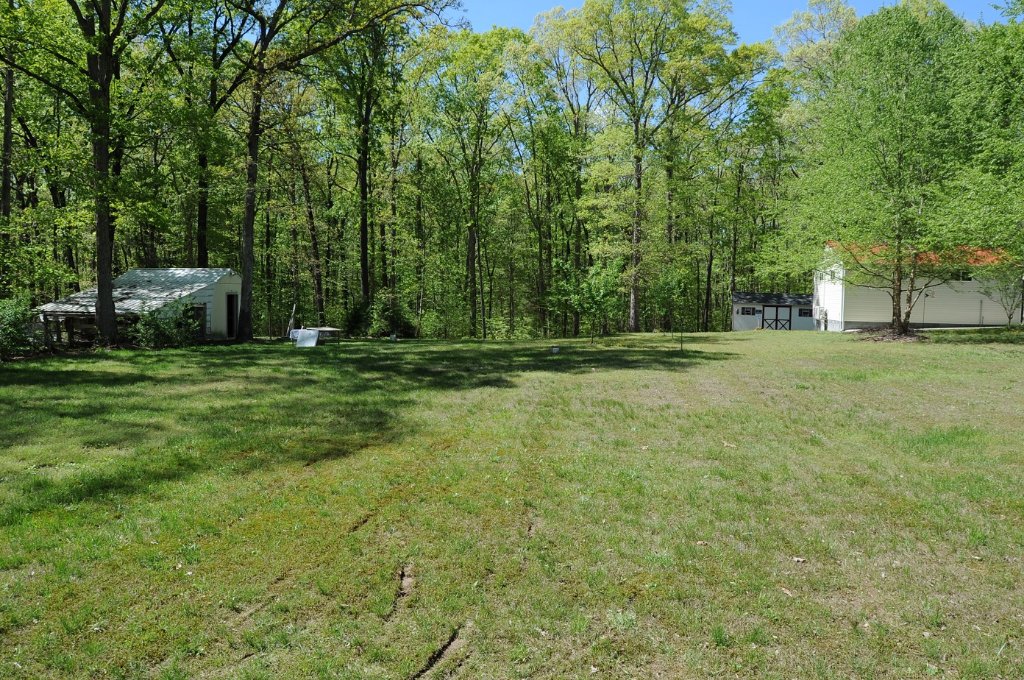 back yard.jpg