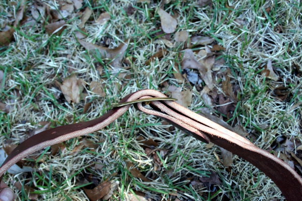 belt2.JPG