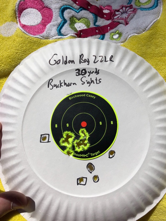 25 yards. The first 5 or 6 shots were before I adjusted the rear sight insert to bring my elevation up slightly.