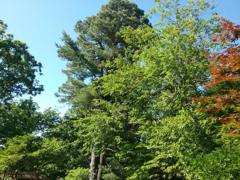 20190514_164911.jpg