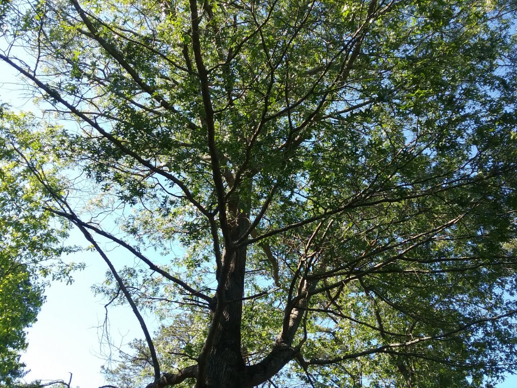 20190514_164820.jpg