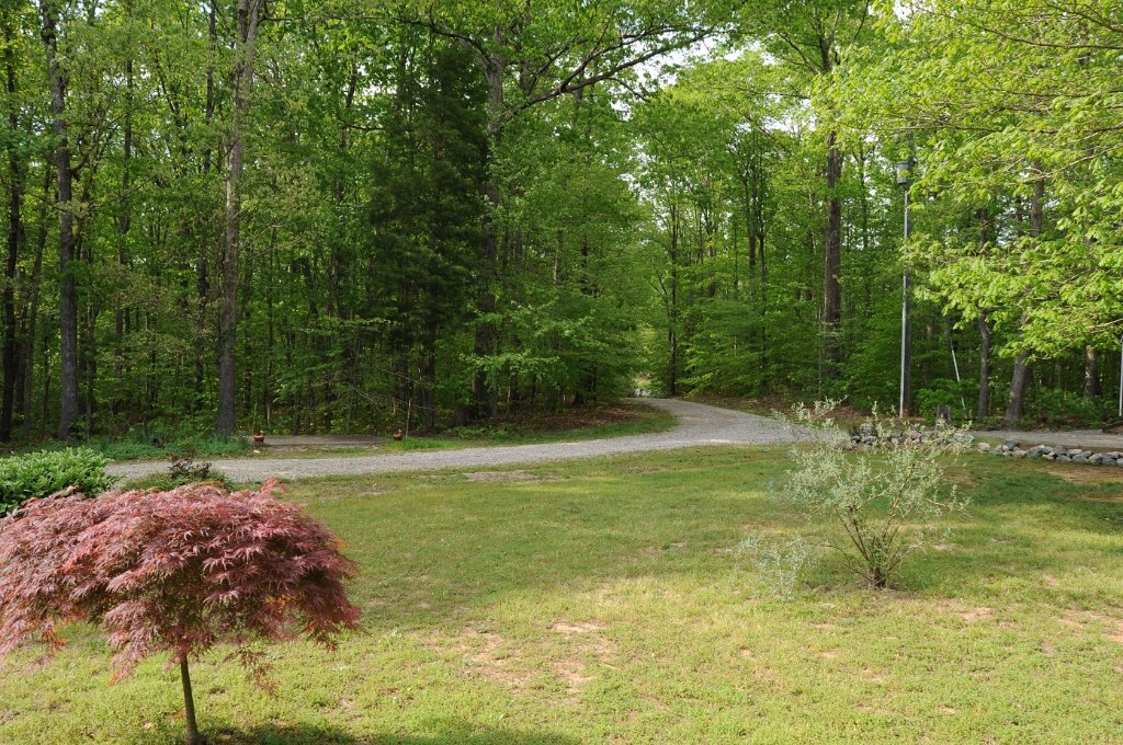 down the drive.jpg