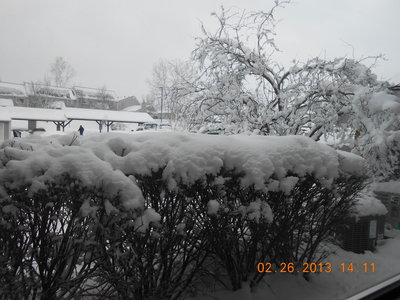 DSCN0159.JPG