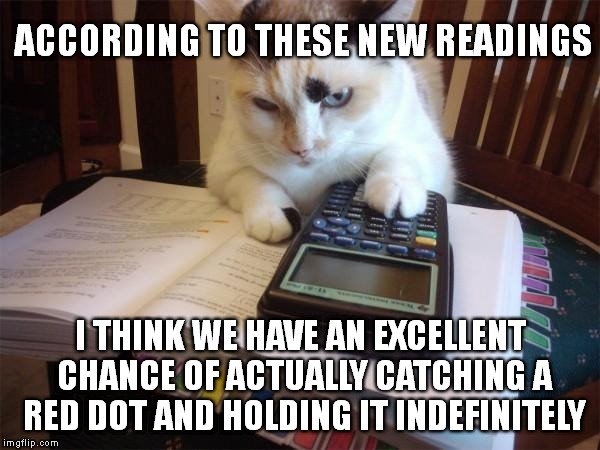 catdot.jpg