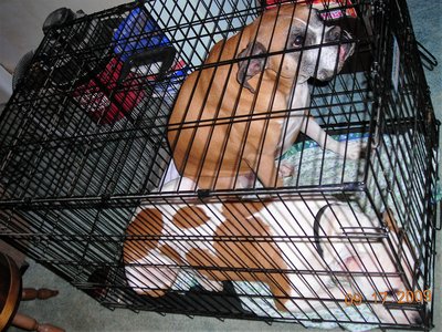 card 045.JPG