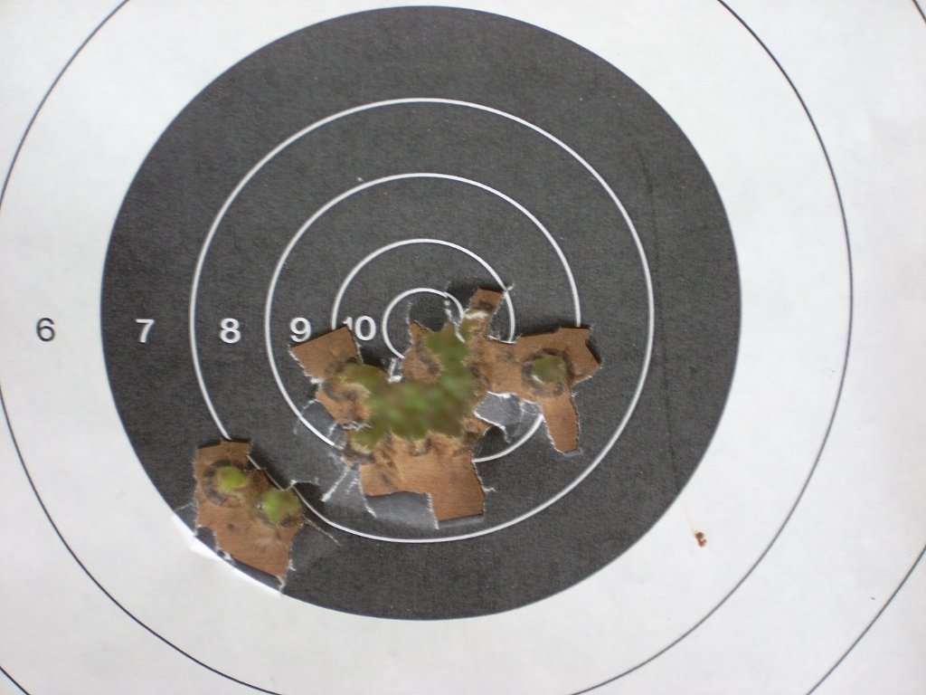 07 fifteen downrange with the sig.jpg