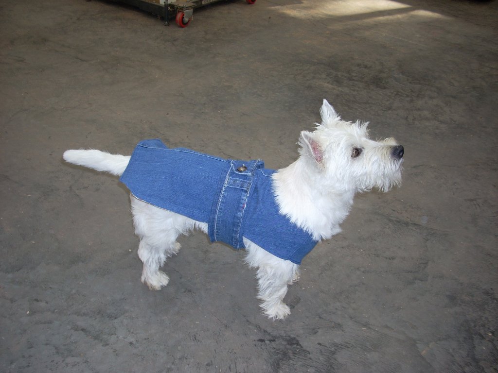 30a fionas new dress.jpg