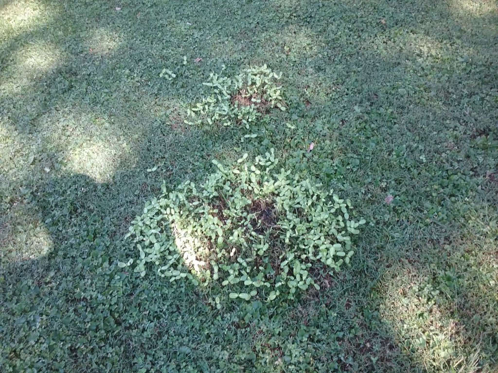 20190923_121314.jpg