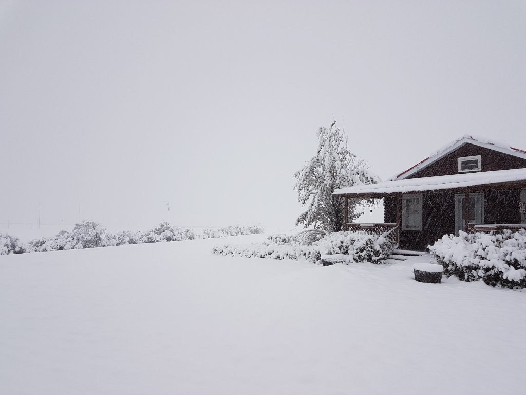 20191008_075908.jpg