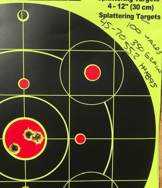 350 grain 4895 100 yards.jpg