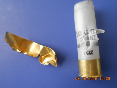 DSCN1380.JPG
