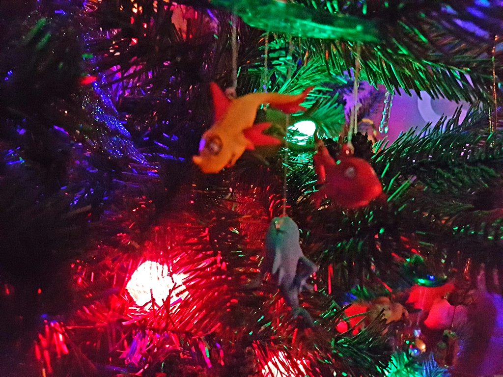 20191201_171021.jpg