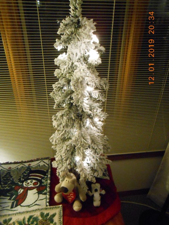 DSCN3463 - Edited.jpg