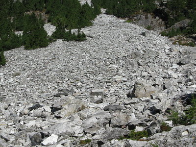 canon 05.JPG
