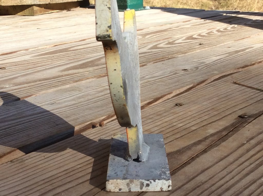 little chick took a hit.jpg