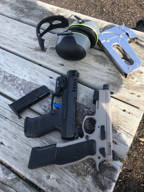 CZ and Walther.jpg