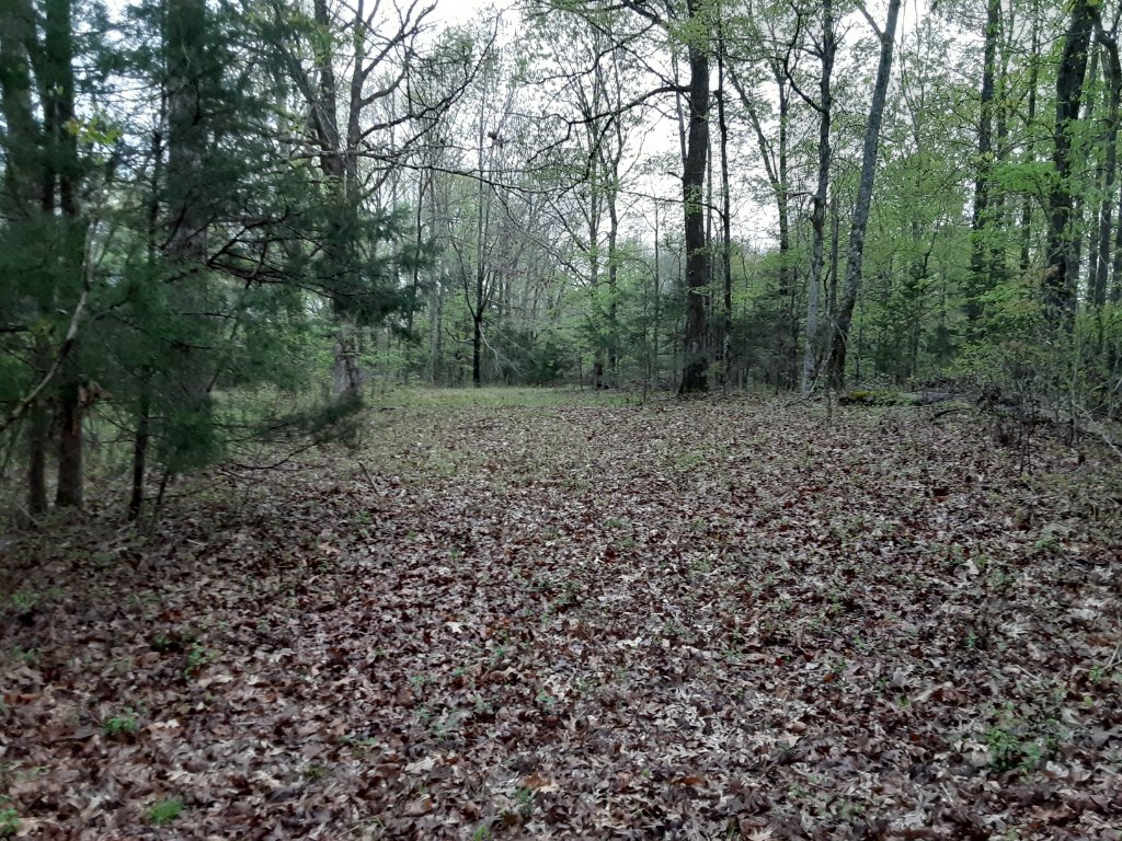 20200403_181907.jpg