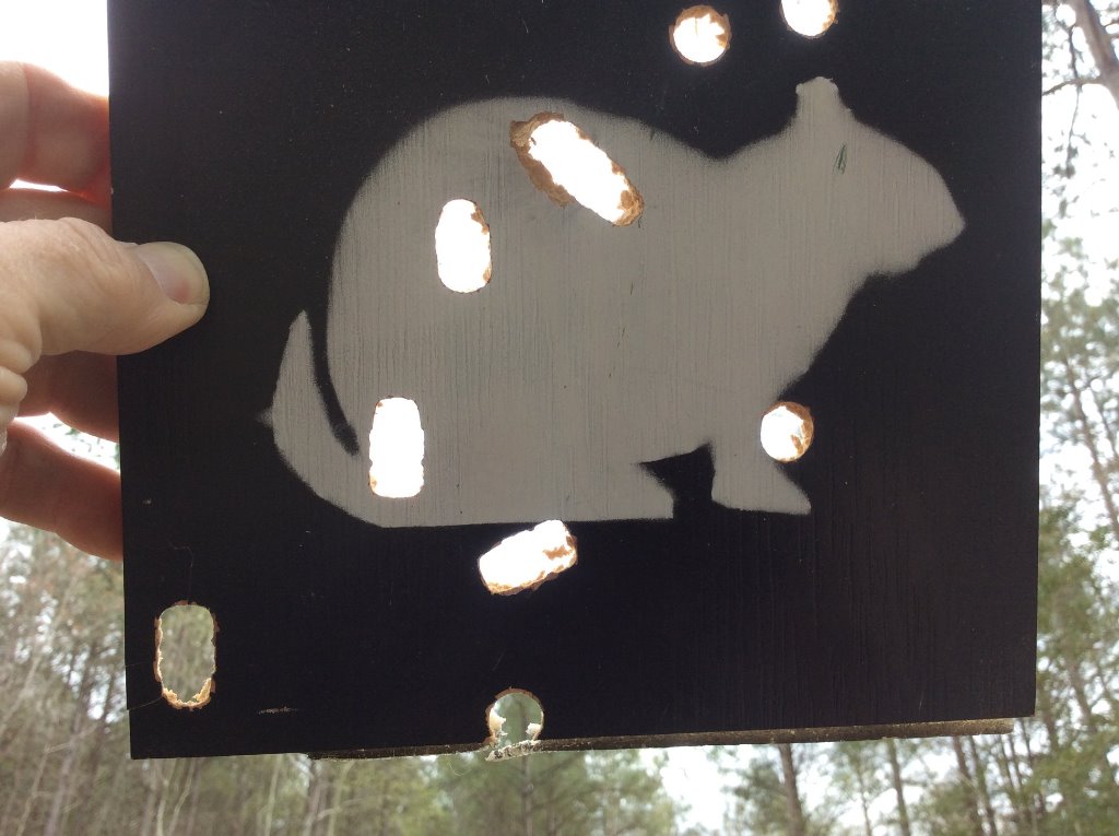 weird key hole shots only in wood flooring panel 240 MB with 9.5 Unique.jpg