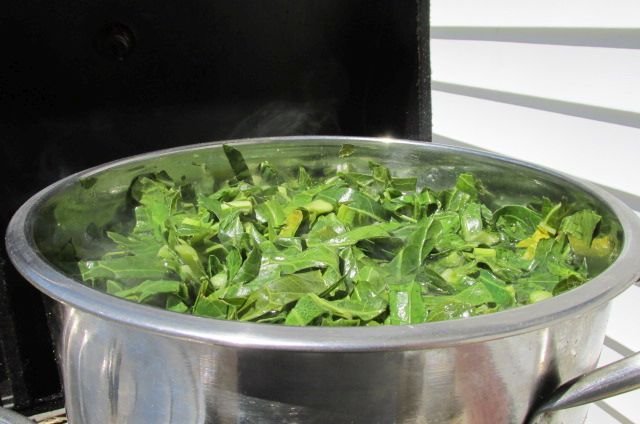 200416 002 boiling collards 002.jpg