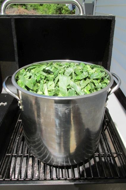 200416 001 boiling collards 001.jpg